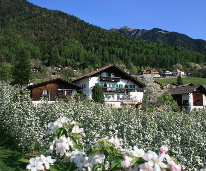 Residence Streitlhof Tirolo Exterior foto